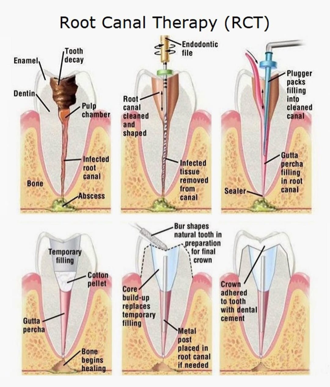 SHINE DENTAL CLINIC VENNIYUR